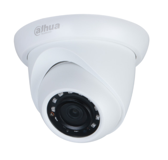 Dome IP 2mp 30m Fixed - No Warranty